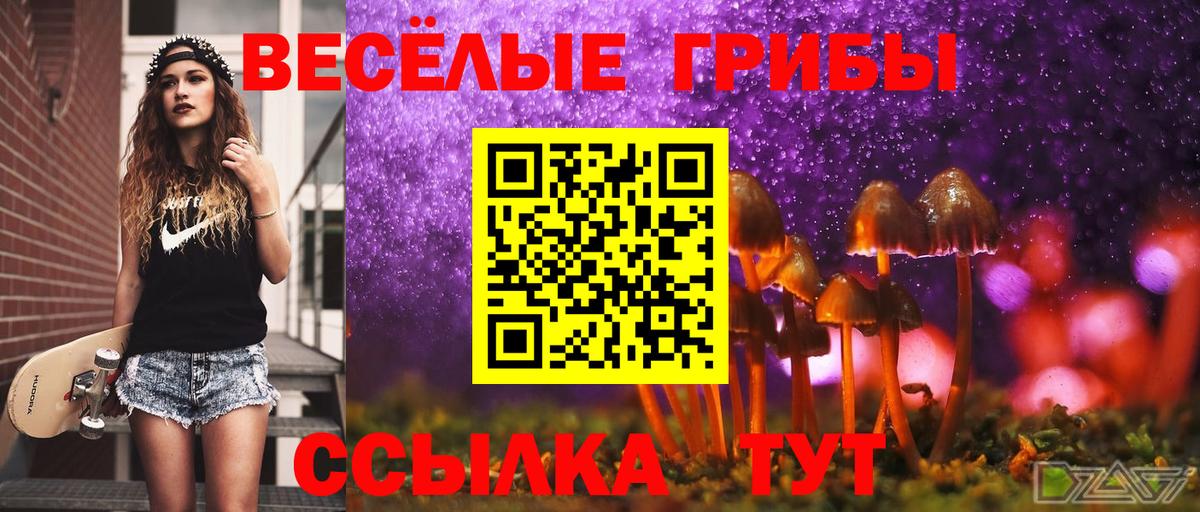 Галлюциногенные грибы прущие грибы Котельники