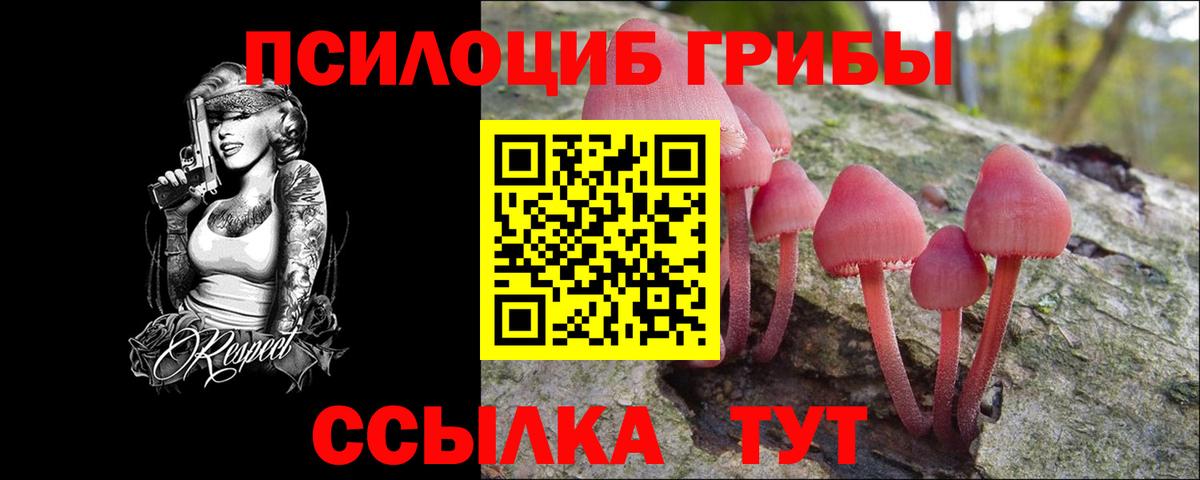 Котельники  Галлюциногенные грибы Psilocybine cubensis  Вход с VPN 